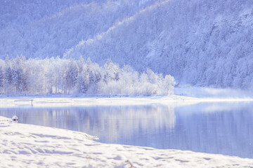 Sunny winter landscape in the alps: Lake Hintersee in Salzburg, snowy trees and mountains