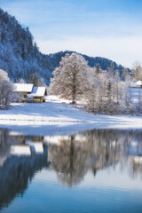 Sunny winter landscape in the alps: Lake Hintersee in Salzburg, snowy trees and mountains