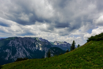 wonderful green gras on a meadow while hiking in the mountains