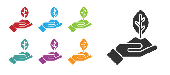 Black Plant in hand of environmental protection icon isolated on white background. Seed and seedling. Planting sapling. Ecology concept. Set icons colorful. Vector.