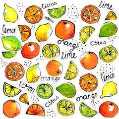 Citrus illustration, handdrawn with ink, painted in watercolors. Loose sketches, lemon, lime, orange with text, pattern