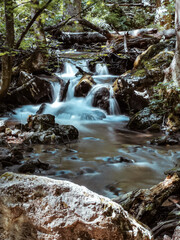 waterfall in the forest