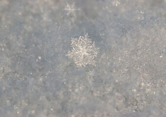 snowflakes of different sizes as background