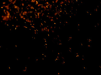 fire flame with sparks on black background