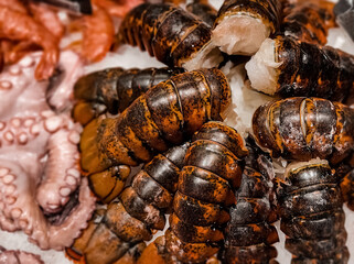 Fresh raw lobster tails