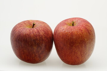 ブランドリンゴ 　飛馬ふじ　青森県産弘前市相馬村産　