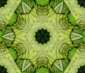 Abstract background with geometric kaleidoscopic design obtained from green cabbage heads at the...