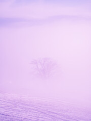 Ein einsamer Baum im lila Nebel, eine fantastische, surreale Märchenlandschaft