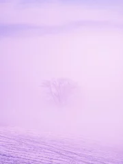 Deurstickers Licht violet Een eenzame boom in een paarse mist, een fantastisch, surrealistisch sprookjeslandschap