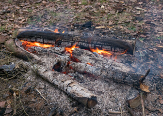 landscape with a burning campfire on the lake shore, glowing wooden logs and red fire flames