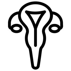 Uterus 