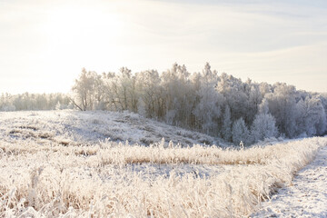 Obraz na płótnie Canvas Fairy winter landscape in sunny weather