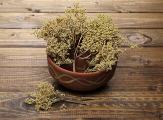 Dried elder flower, elderberry plant in clay bowl, pot on wooden plank background and texture