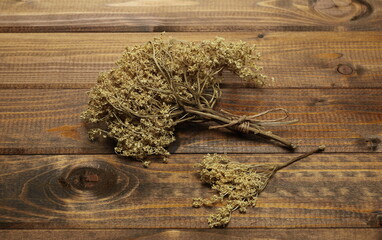 Dried elder flower, elderberry plant on wooden plank background and texture