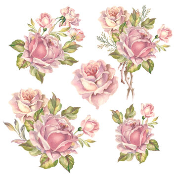 set of roses bouquets.watercolor  flowers