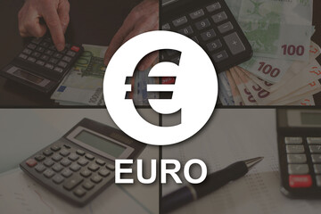 Concept of euro