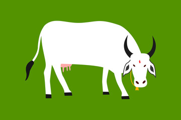 Beautiful Indian cow   isolated on green background for Pongal festive celebrations illustration.  
