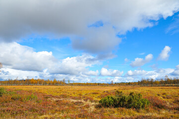 Flu&szlig; in Schweden in J&auml;mtland im Herbst