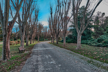 Walking way made of gravel and tree near the way. Autumn theme with dried trees with sky background.