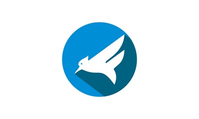 Fototapeta premium circle logo flying bird