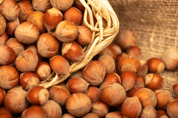 Hazelnuts in a wicker basket and loose nuts. It's time for the autumn harvest. Close-up, selective focus.