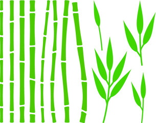 Vector illustration of the bamboo