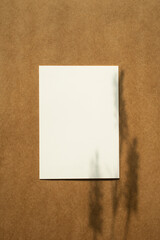 크래프트 종이 바탕에 식물 그림자 연출  카드 목업