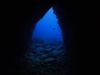 cave scenery underwater cave dive diving in caves  with some fish ocean scenery