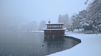 Snow falling on lake Bled shore, Slovenia. Snowstorm in winter season. Calm view of snowflakes falling on ground. Group of mallard ducks in water. Static shot, wide angle, real time - Powered by Adobe
