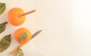 Minimalistic tropical organic fruit composition,copyspace.