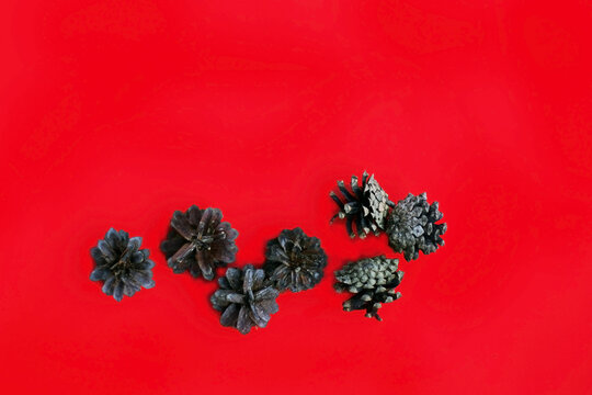 Step 1 - How to make a Christmas wreath from pinecones, cardboard, and a glue gun. New Year's decor. Creative crafts. Do it yourself. DIY. Step by step photo instruction. Top view. 