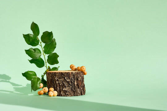 Natural wooden podium display with leaf shadow. Product presentation soft  green background. Cosmetics or beauty product promotion minimalist mockup.  Stock Photo | Adobe Stock