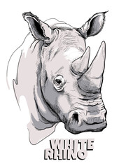 White rhino  sketch. Vector illustration in hand drawn style © Вера Михеева