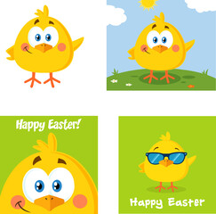 Yellow Chick Cartoon Character. Vector Collection Set Isolated On White Background