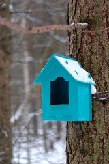 bird feeder on a tree in a winter park