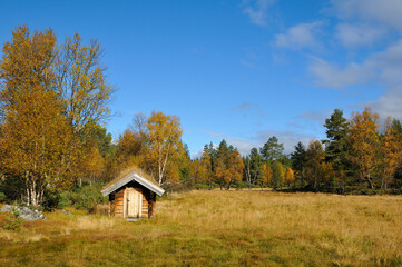 Waldwiese mit einer Hütte in Schweden