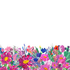 Fototapeta na wymiar Hand-painted floral border. Wildrlowers on white background