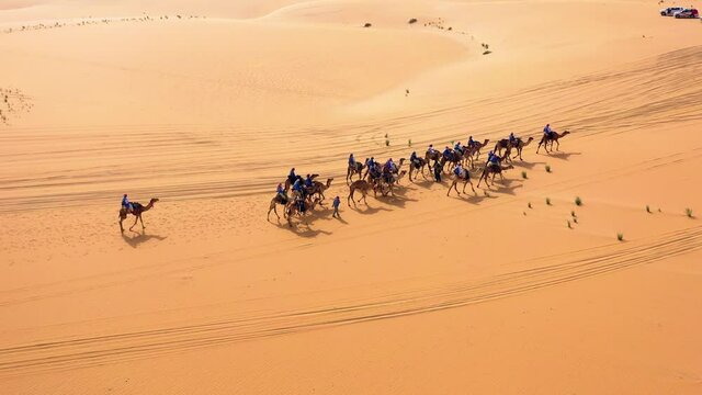 Aerial view of nomads, riding camels on desert, golden hour, in Saudi Arabia - circling, drone shot