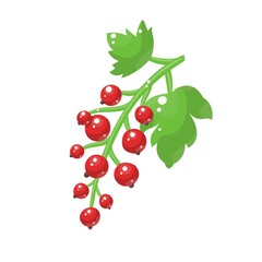 Cartoon redcurrant isolated on white background. Vector illustration