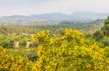 the landscape around Wat Khao Tabak in Si Racha Thailand Asia