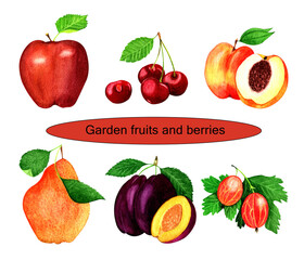 Hand drawn watercolor painting set of garden fruits and berries.Summer illustrations of apple,pear,cherries,prunes,peach and gooseberries on white background.For printable,patterns,posters,cards.