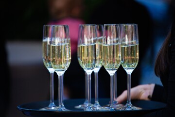 woman carrying tray of champagne glasses