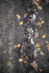 traces from the tire of the wheels of a car on a sandy road in the forest, the first snow is vertical