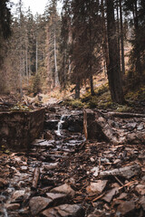 Strumyk © Dawid