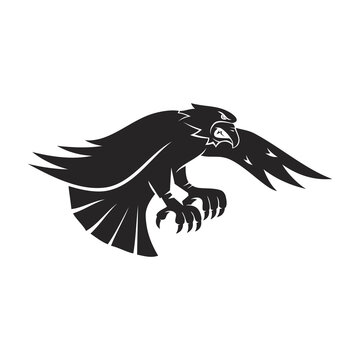 eagle Fly Angry character sport mascot Design Template Isolated