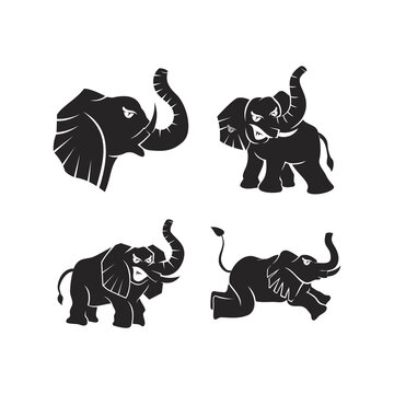 elephant Animal mascot Illustration Template Set
