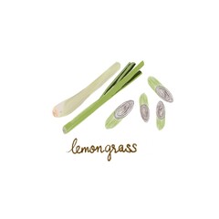 An illustration of a lemongrass and wording &ldquo;lemongrass&rdquo; isolated on a white background