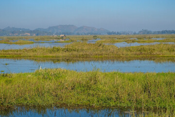 View of Lake Loktak in Moirang in Manipur state, India.