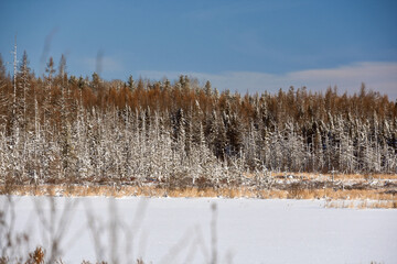 Winter landscape around a lake in Quebec, Canada, in December