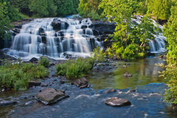 544-81 Bond Falls in Summer